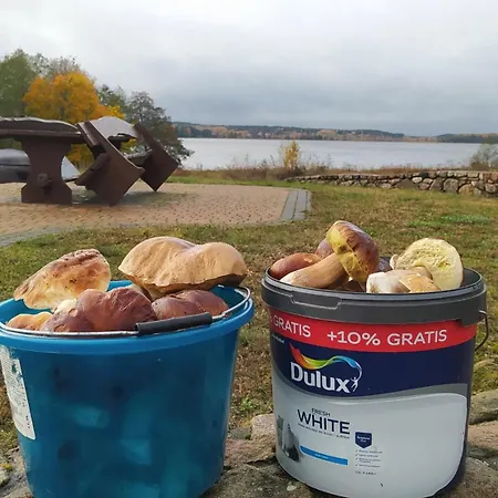 Na Mazurach 50m Od Jeziora Goldopiwo